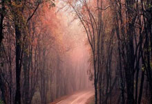 大巴黎对决巴萨,谁能在欧冠赛场笑到最后?