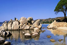 北单足球官网首页能提供哪些服务?如何高效使用其功能?